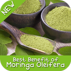Best Benefit Moringa Oleifera icon