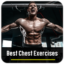 Best Chest Exercises APK