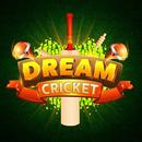 Dream Cricket - Best Game Of 2018-APK
