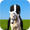 Horse With Man Photo Suit APK