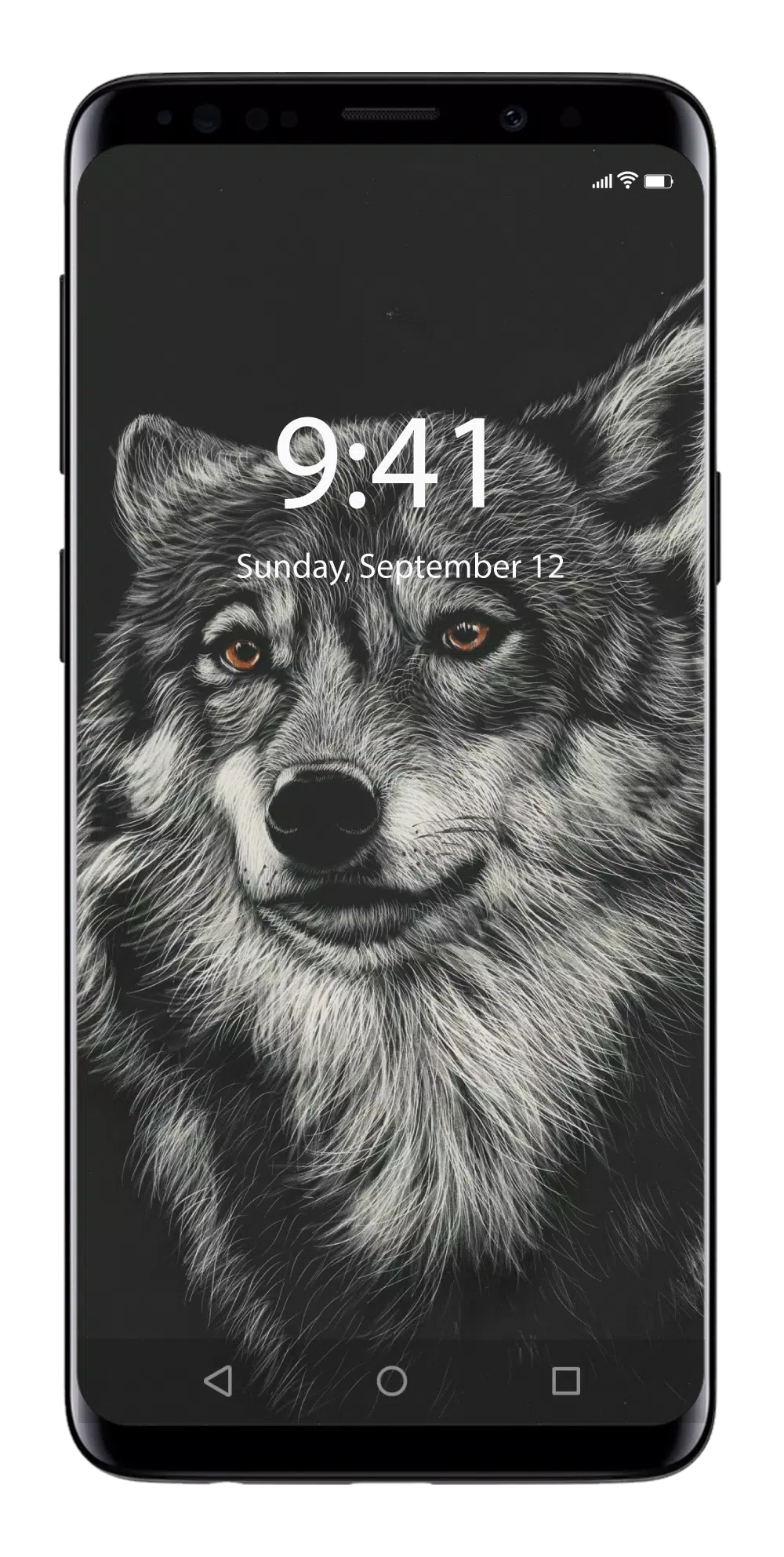 🐺 100+ Wolf Wallpapers - HD W APK for Android Download