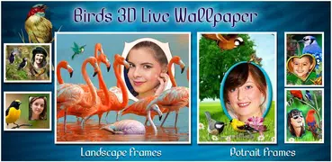 Birds 3D Live Wallpaper