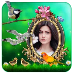 Birds 3D Live Wallpaper APK Herunterladen