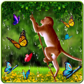 Funny Monkey Live Wallpaper