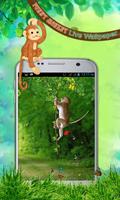 Funny Monkey Live Wallpaper Affiche