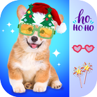 Christmas Photo Frames icon