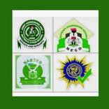 Best Result Checker, 2020