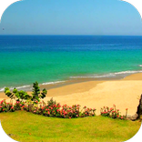 Sandy Beach Video Wallpaper