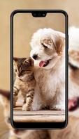 Dogs and cats wallpapers 2021 Cartaz