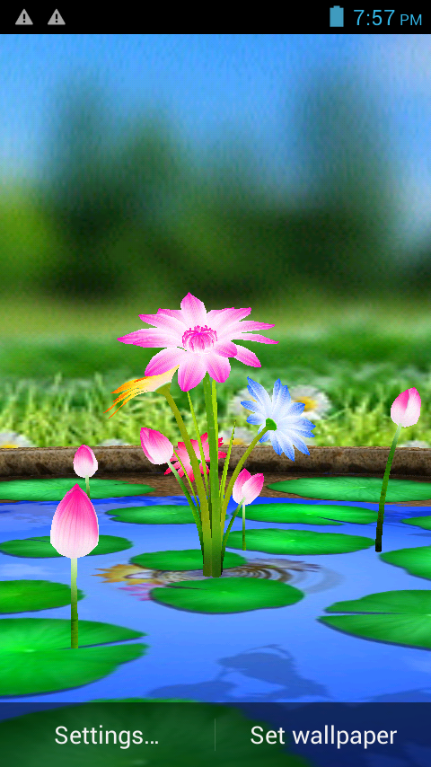 3D Flowers Touch Wallpaper APK for Android – Download 3D Flowers Touch Wallpaper APK Latest Version from 3D Flowers Touch Wallpaper APK for Android – Download 3D Flowers Touch Wallpaper APK Latest Version from