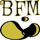 BFM APK