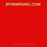 BFSMMPANEL