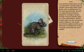 Tarot Madame Lenormand HD Ekran Görüntüsü 3