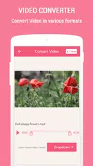Video Converter APK download