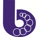 BharatPe APK