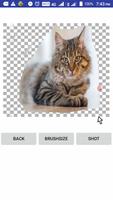 Background Remover ภาพหน้าจอ 3