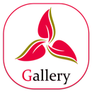 Gallery APK