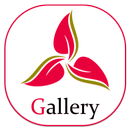 Gallery aplikacja