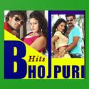 Bhojpuri Hits APK