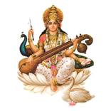 TWINKLE STAR ENGLISH HIGH SCHOOL