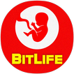 BitIife For Android - Bit Life Simulator Helper