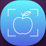 Indoor Object Tracking