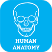 Human Body Anatomy Organ Systems APK