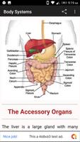 Human Body Anatomy Organ Systems स्क्रीनशॉट 3