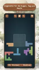 Block Puzzle & Conquer XAPK Herunterladen