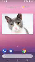 Photo widget تصوير الشاشة 1