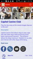 Capitol Canine Club syot layar 1