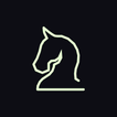 ChessDash icon