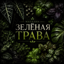 Зелёная Трава Маркет APK