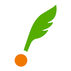 IDIY -  Essay Writing Lessons أيقونة