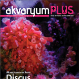 Akvaryum Plus