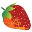 İngilizce Meyveler APK