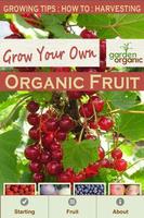 Growing Your Own Organic Fruit Affiche