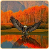 Jigsaw Puzzles Free APK