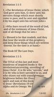 Bible Commentary on Revelation Affiche