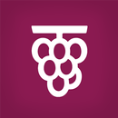 Concise Bible APK