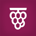 Concise Bible أيقونة