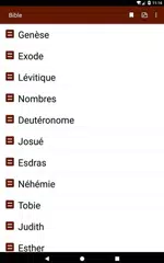 Bible catholique romaine XAPK download