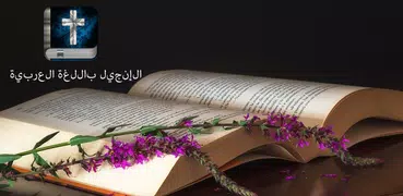 الإنجيل باللغة العربية