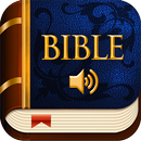 Bible Audio Français LSG 1910 APK