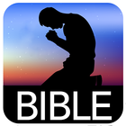 Bible Darby icône