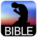 Bible Darby APK