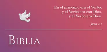 Biblia Dios Habla Hoy, Spanish