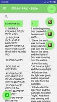Amharic Bible English Bible Parallel Affiche