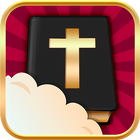 Bible Easy to read Version-icoon