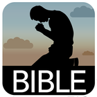 Icona Holy Bible